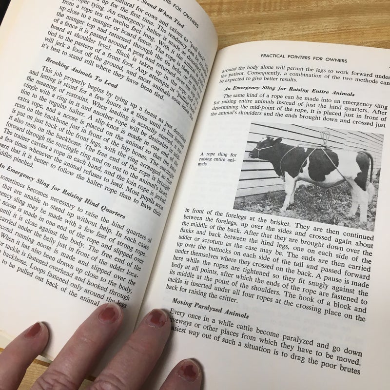 Veterinary Handbook for Cattlemen 
