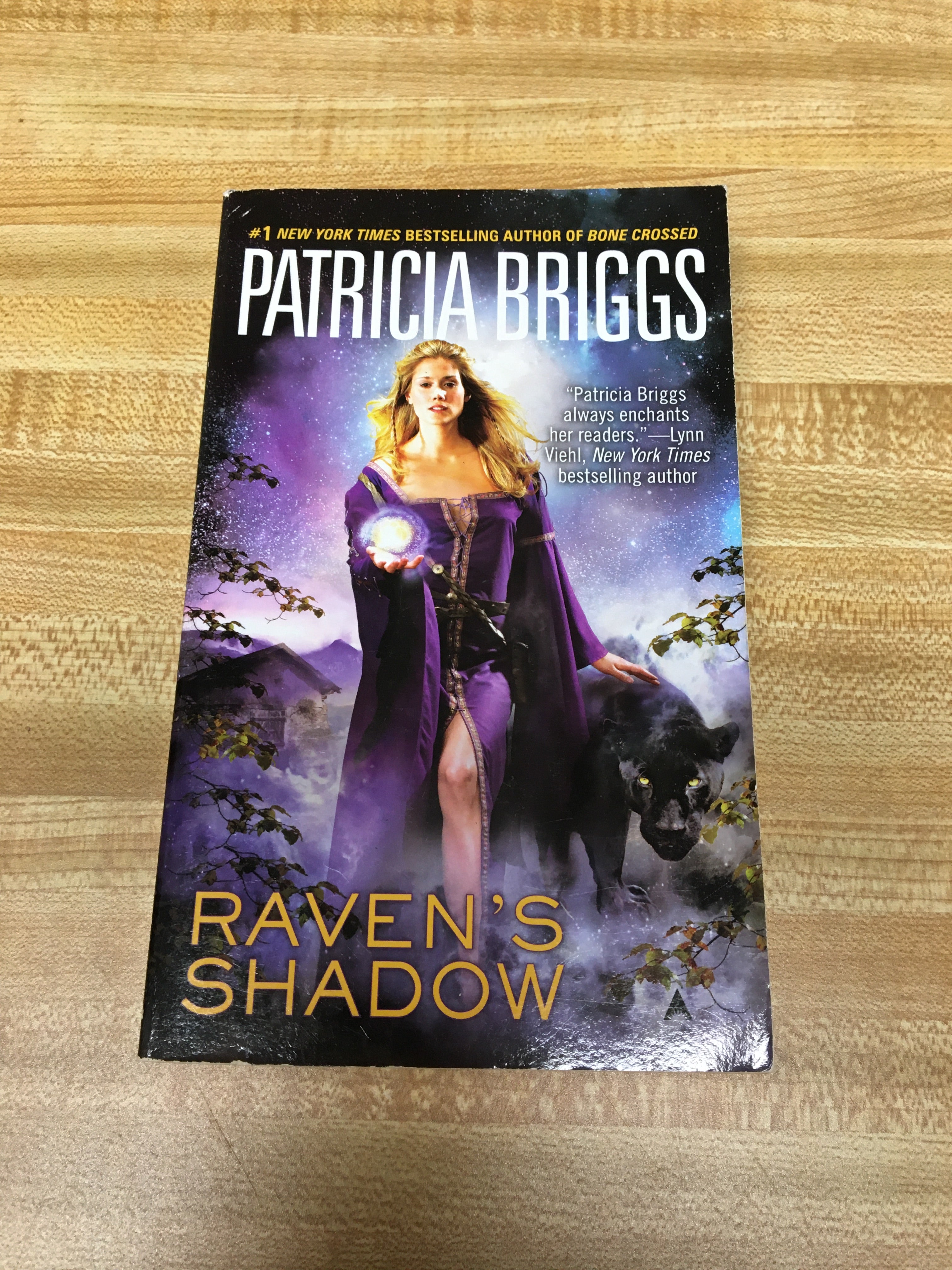 Raven's Shadow