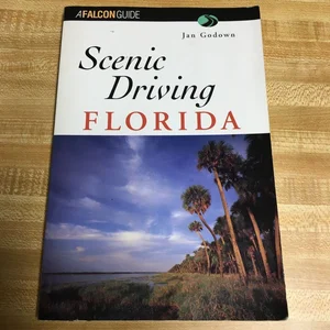 Scenic Driving Florida