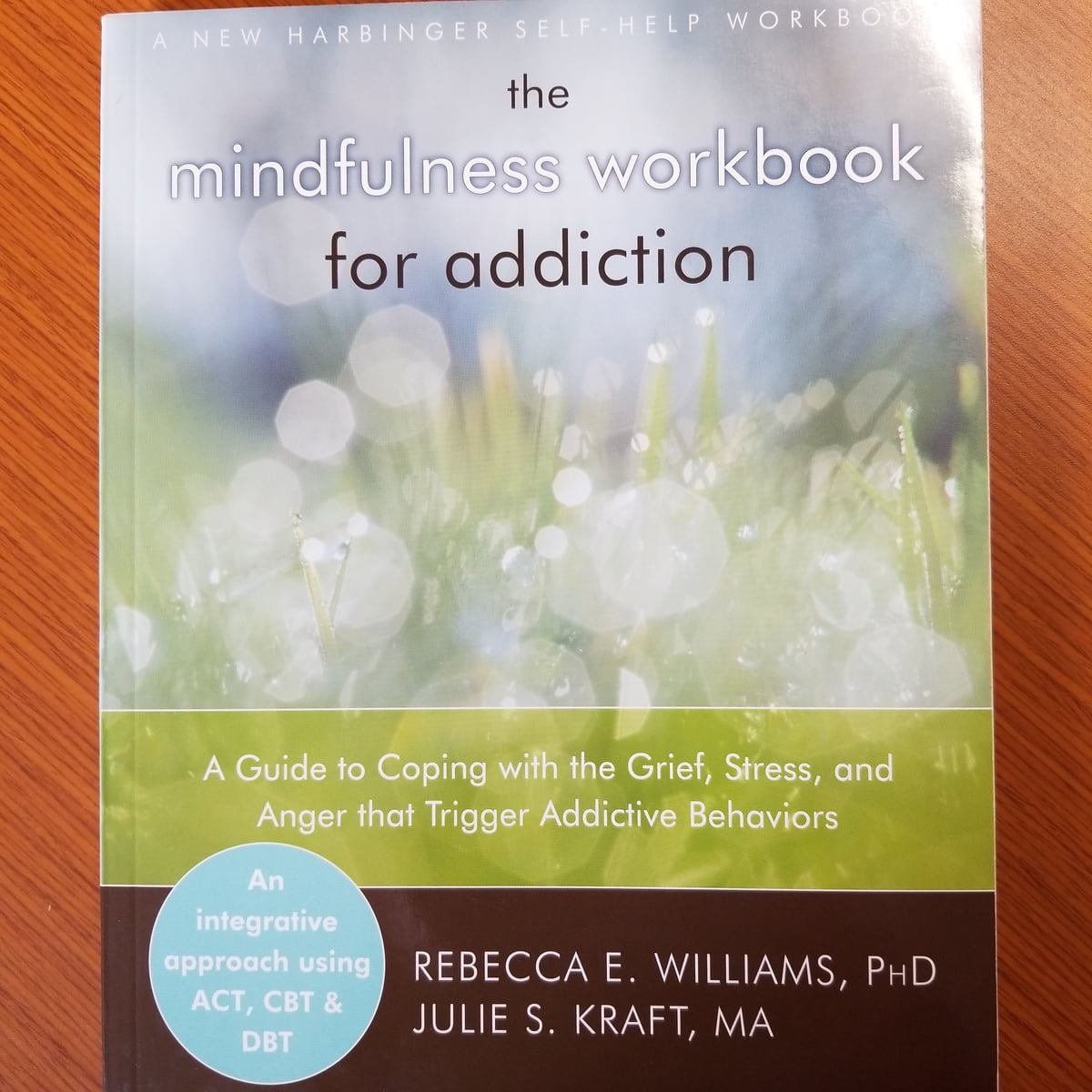The Mindfulness Workbook For Addiction