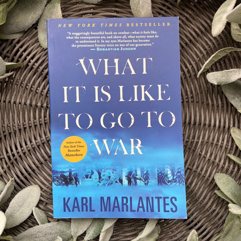 What It Is Like to Go to War