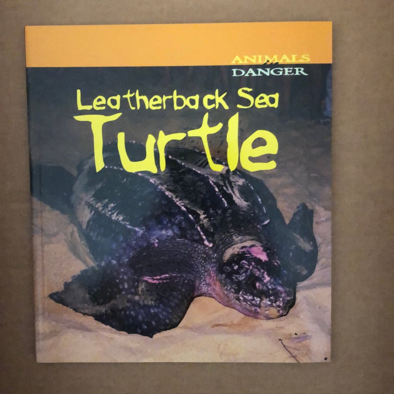 Leatherback Sea Turtle