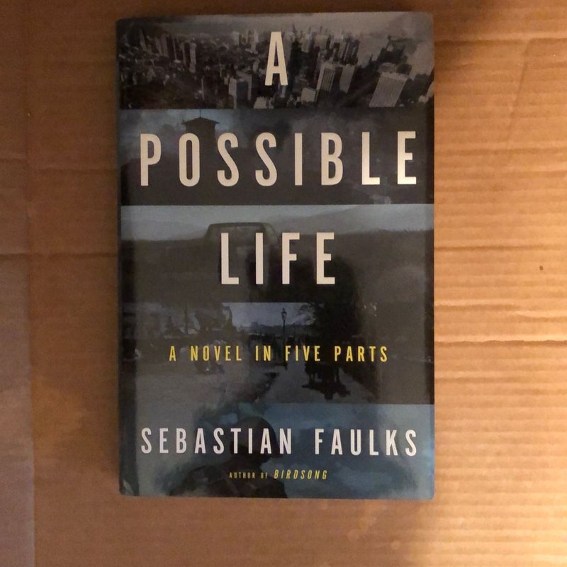 A Possible Life