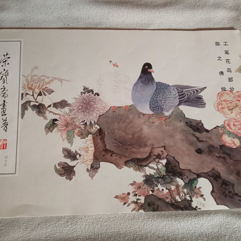 Chinese Art Book - Illustrated Unknown Title