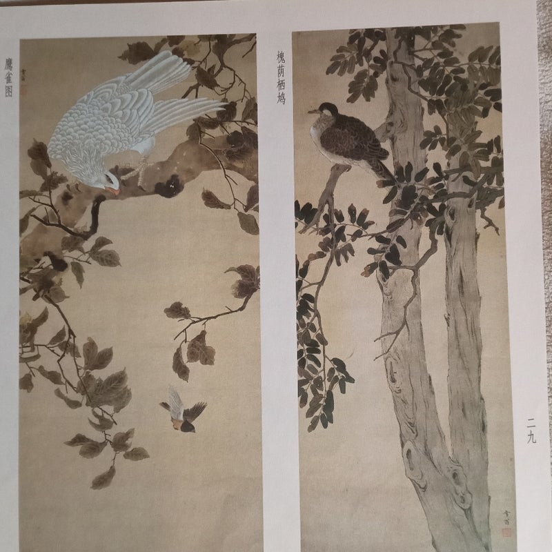 Chinese Art Book - Illustrated Unknown Title