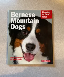 Bernese Mountain Dogs