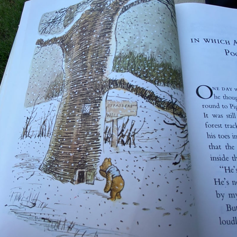 The Pooh Story Book