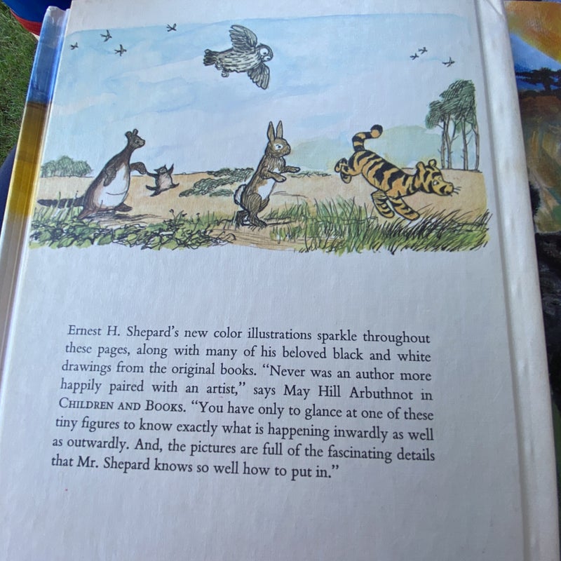 The Pooh Story Book