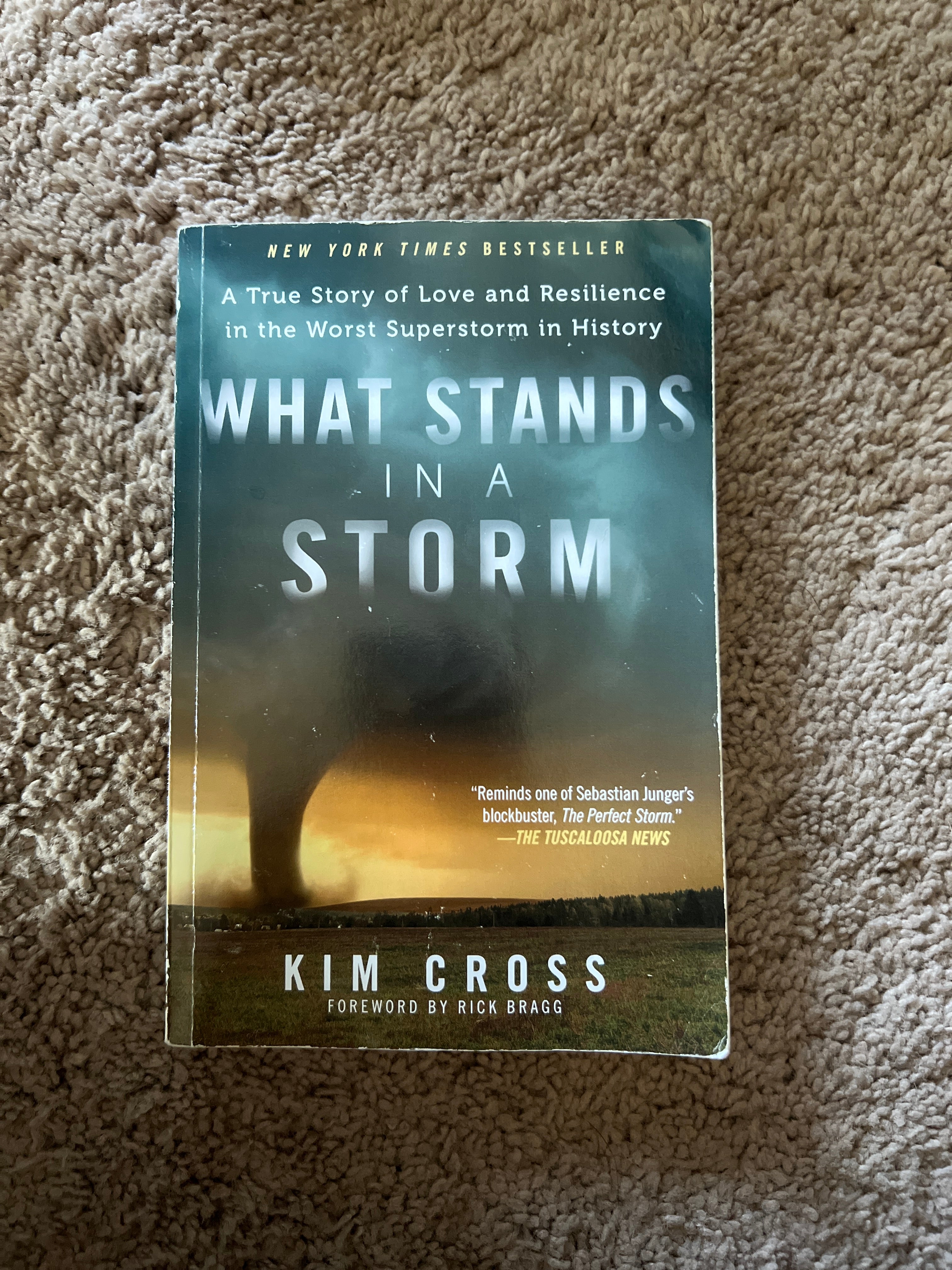 What Stands in a Storm