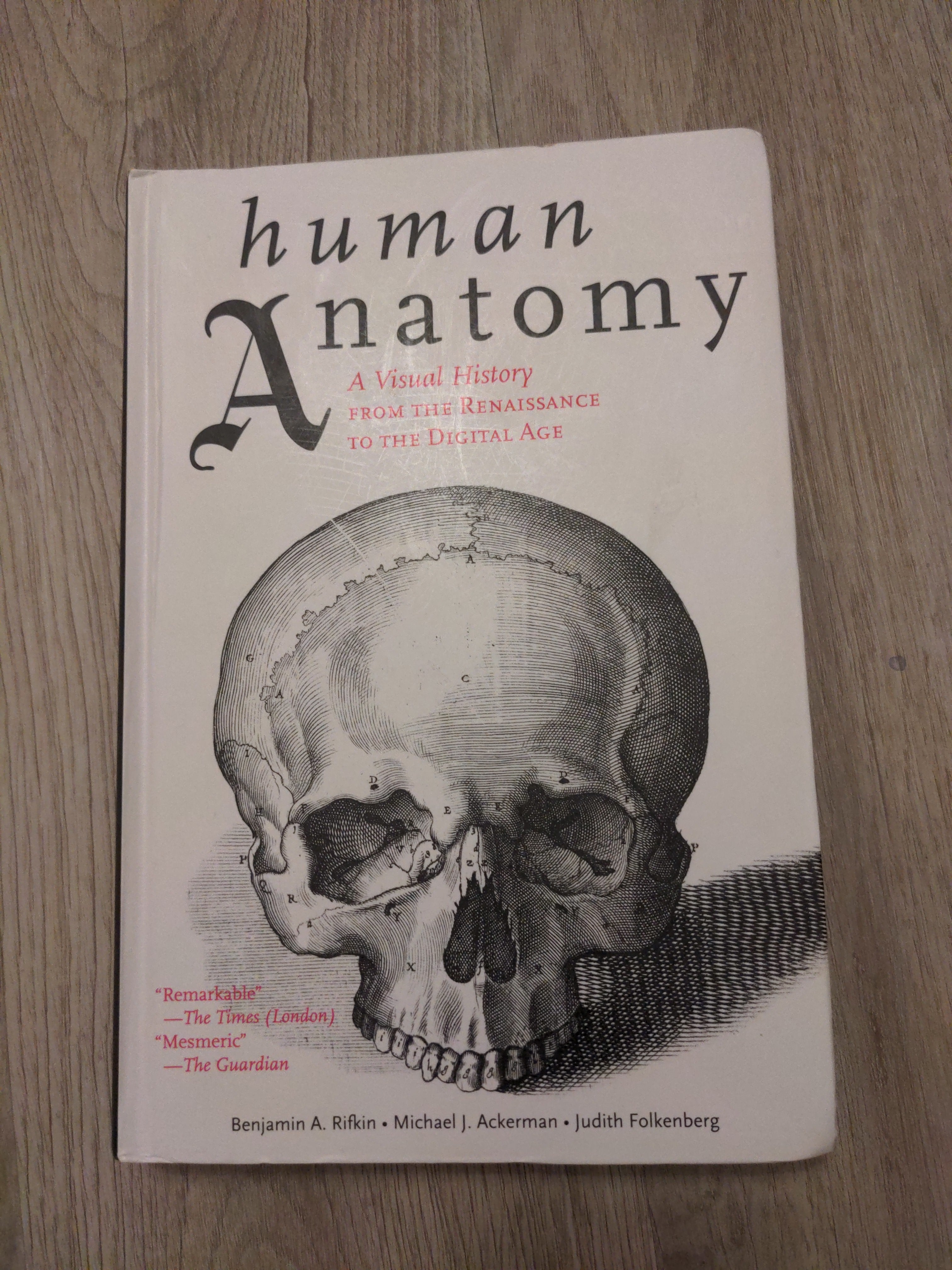 Human Anatomy