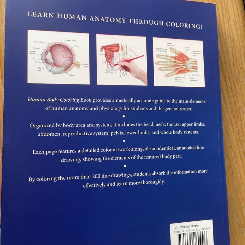 Human Body Coloring Book