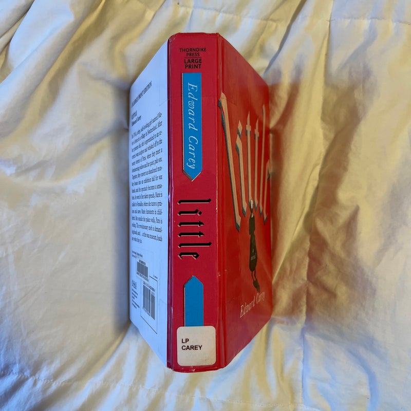 Little (Large Print Edition)