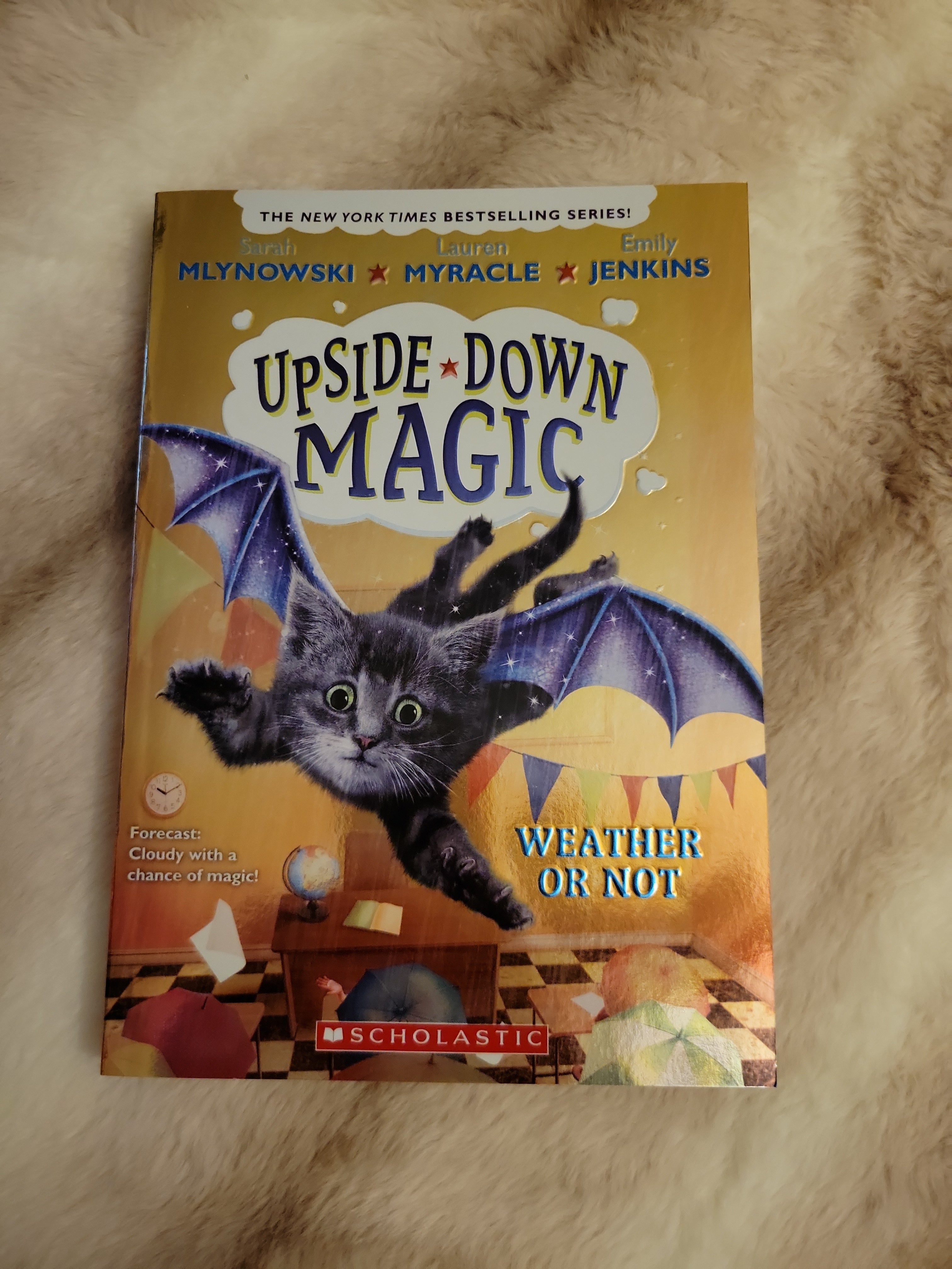 Weather or Not (Upside-Down Magic #5)