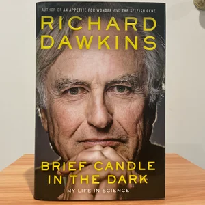 Brief Candle in the Dark