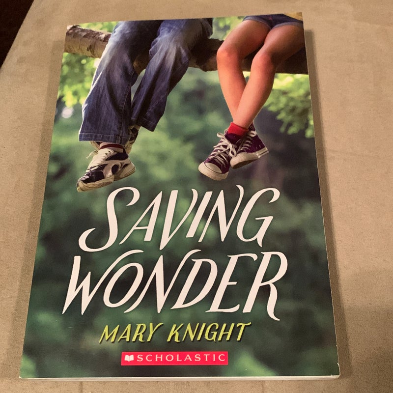 Saving Wonder