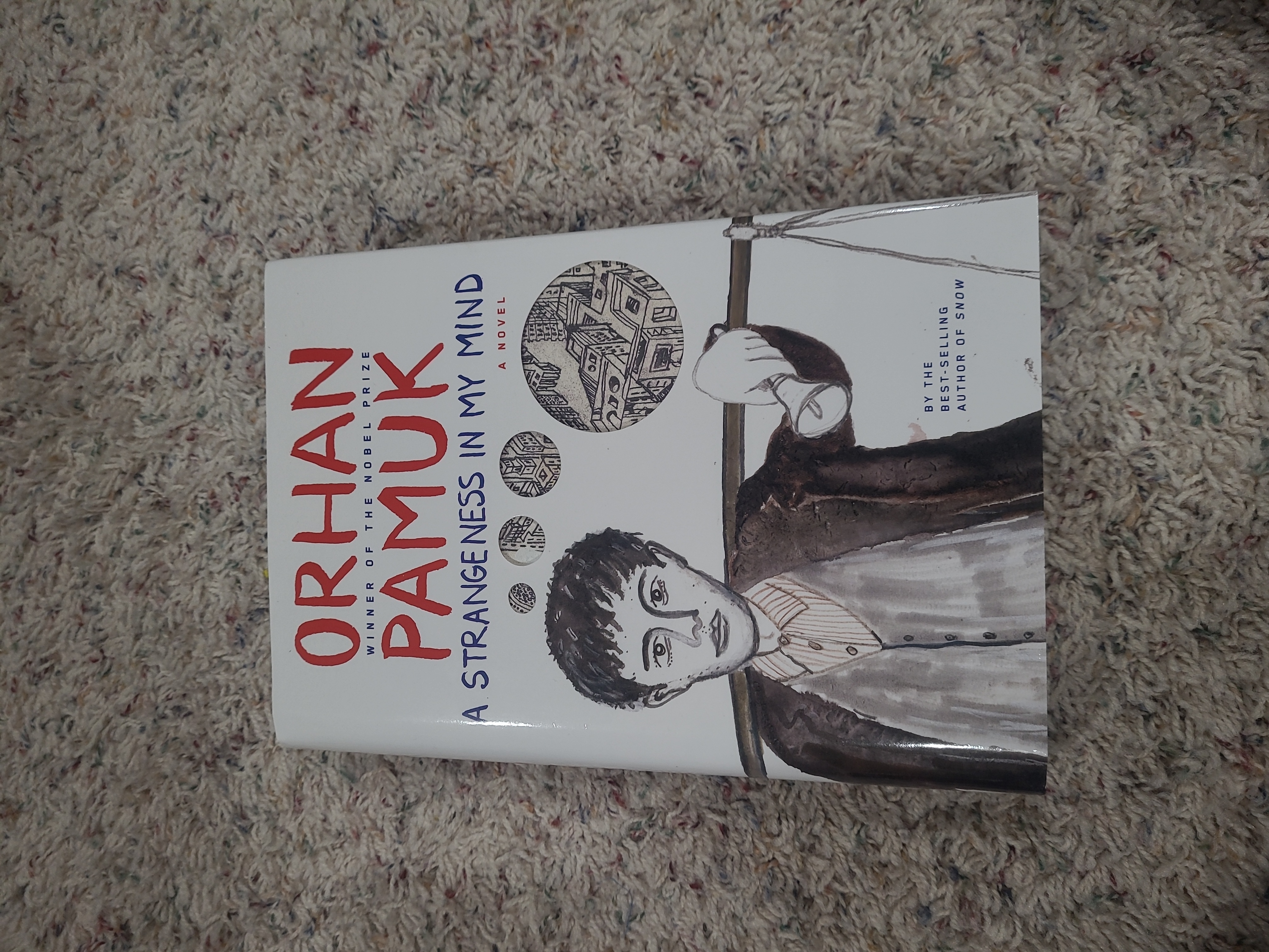 A Strangeness in My Mind