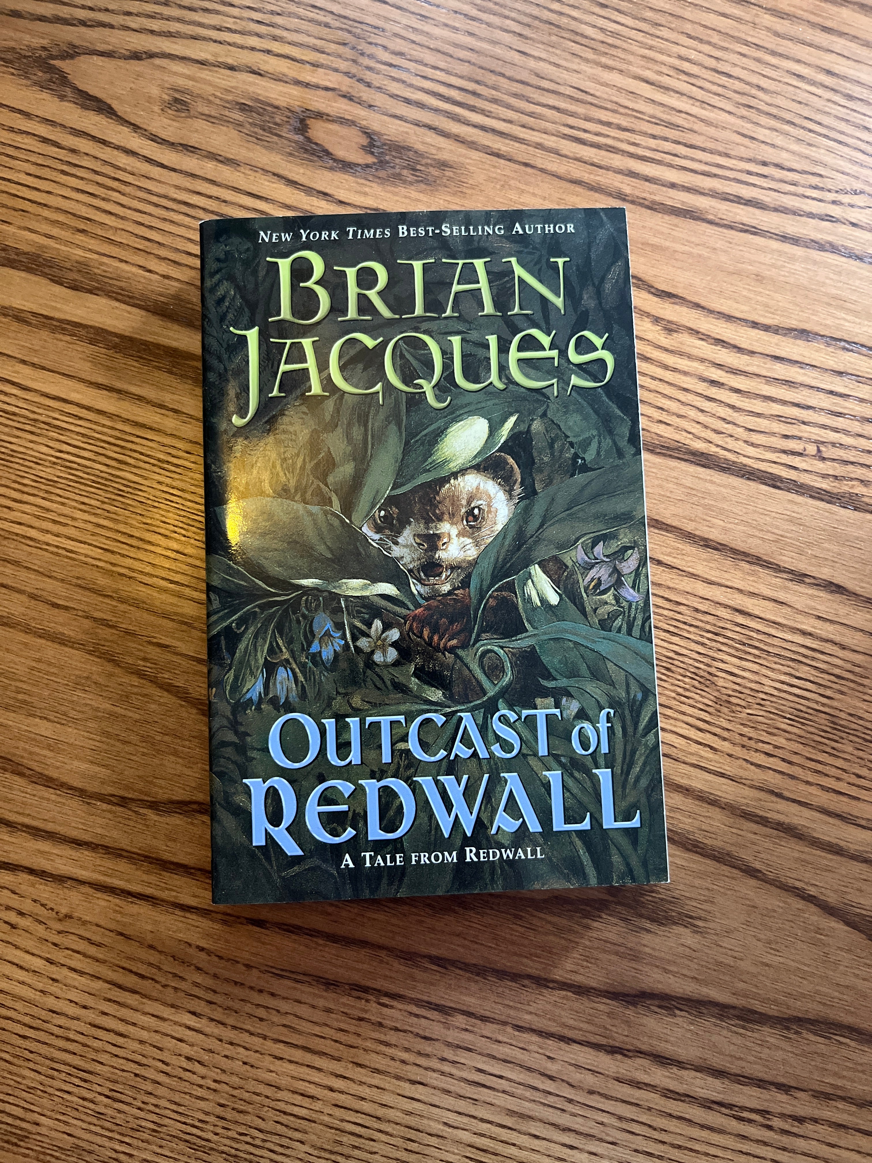 Outcast of Redwall