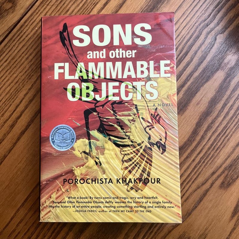 Sons and Other Flammable Objects