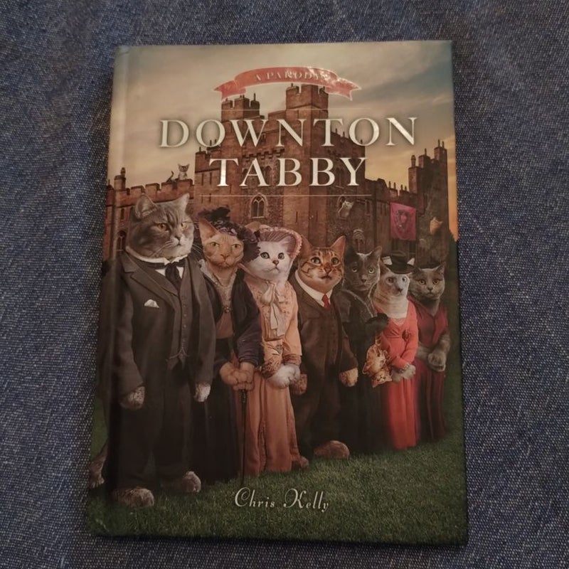 Downton Tabby