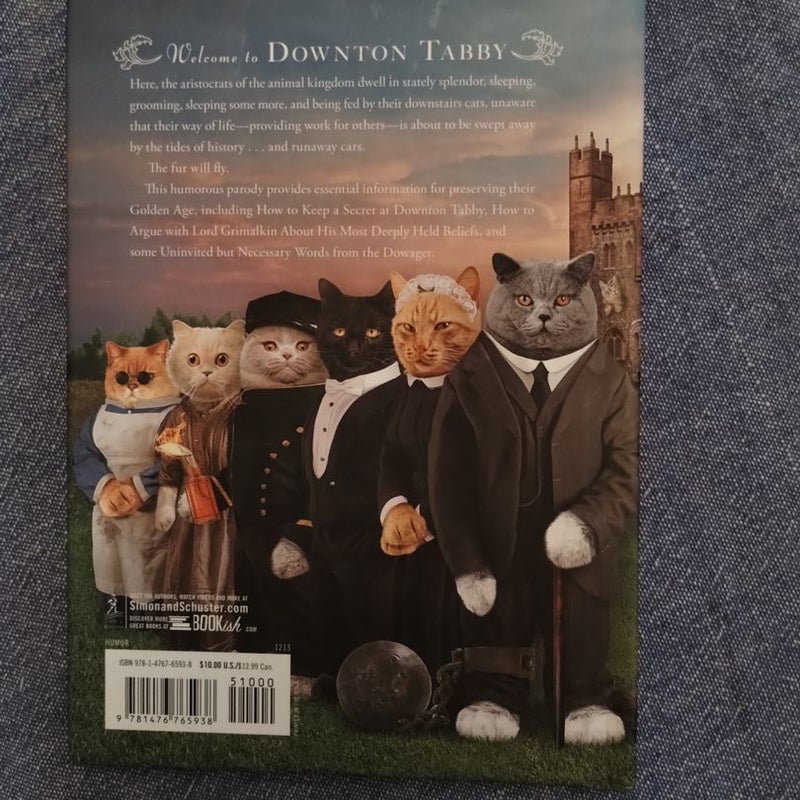 Downton Tabby