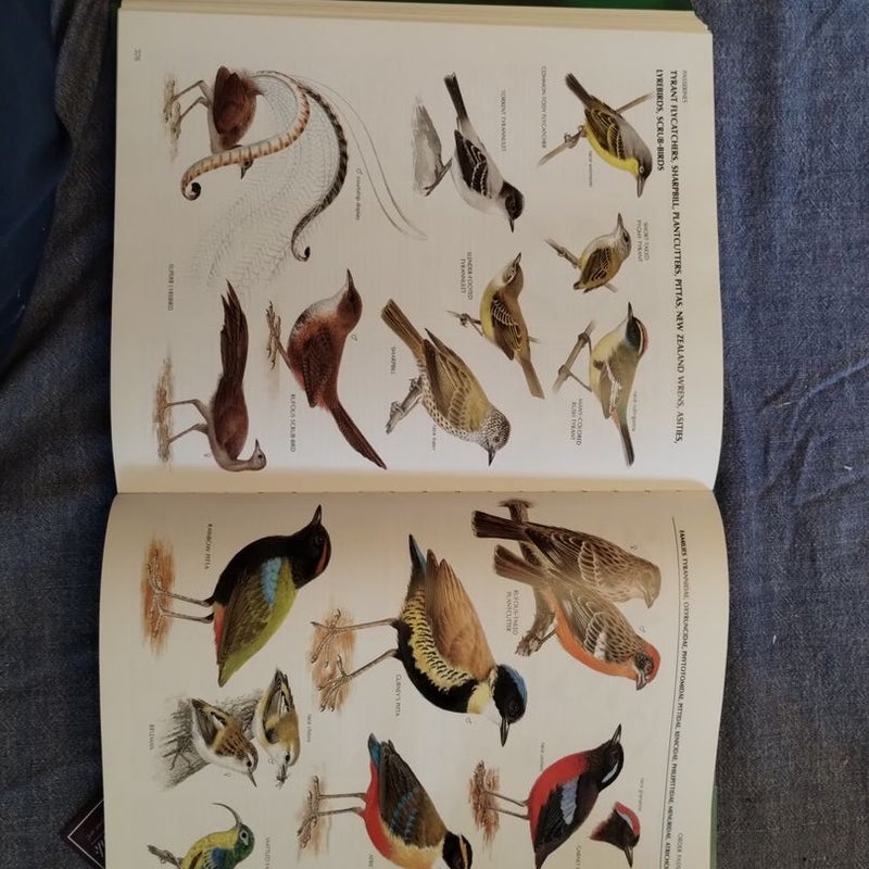The Complete Encyclopedia of Birds and Bird Migration