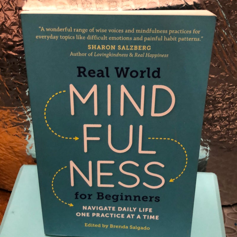 Real World Mindfulness for Beginners