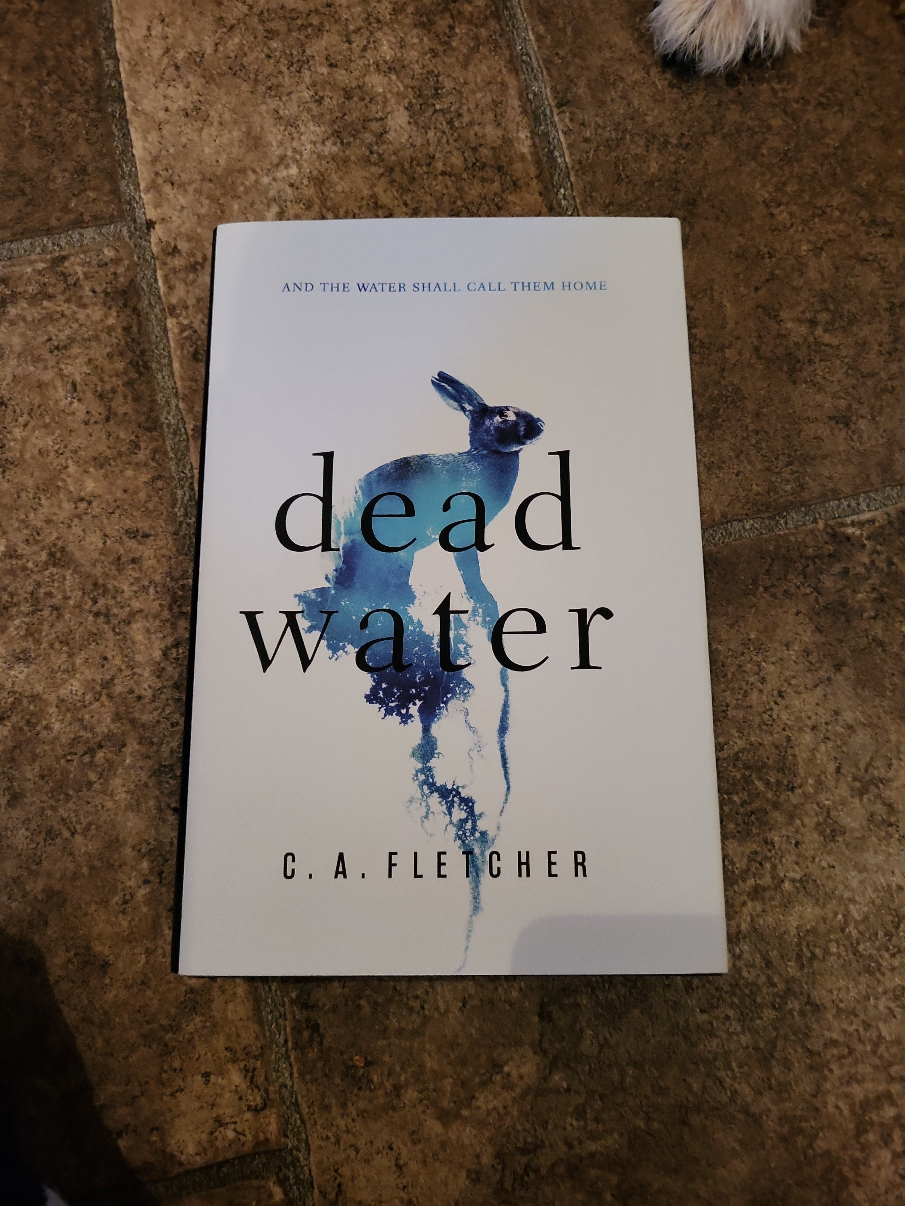 Dead Water