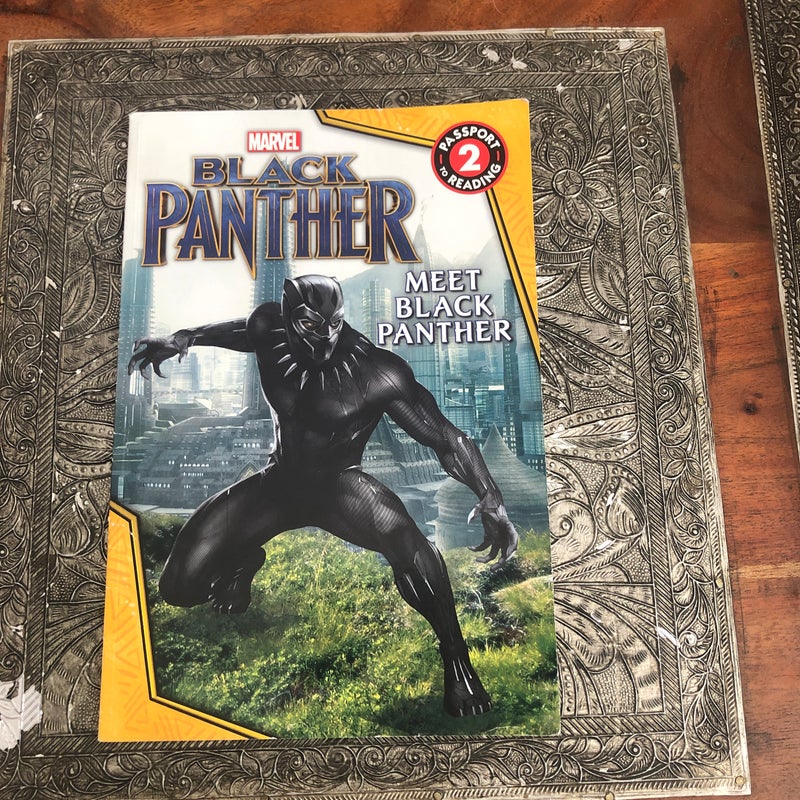 MARVEL's Black Panther: Meet Black Panther