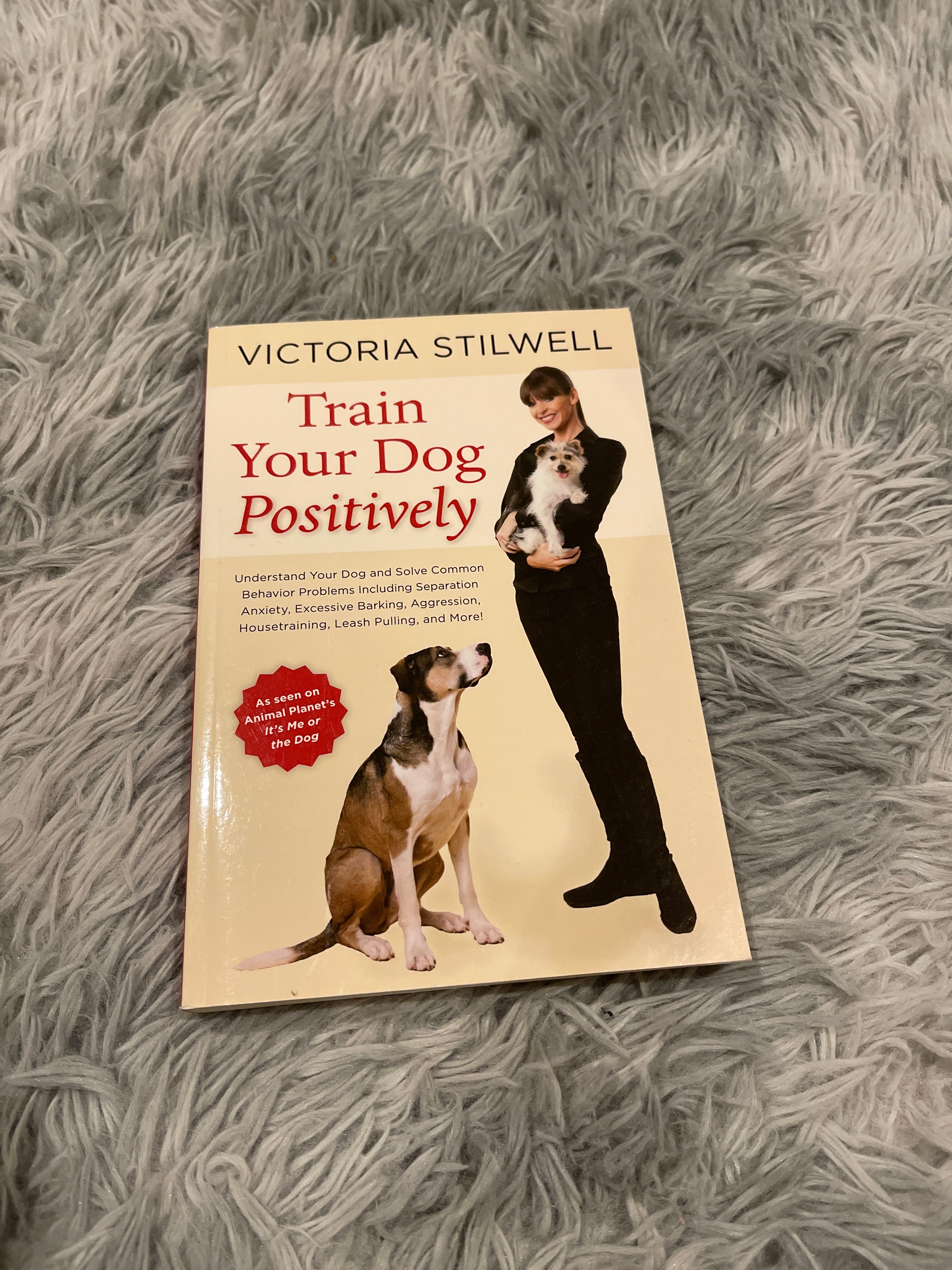 Train Your Dog Positively