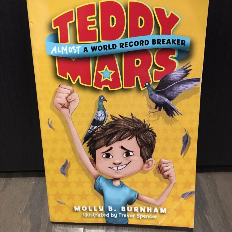 Teddy Mars Book #1: Almost a World Record Breaker
