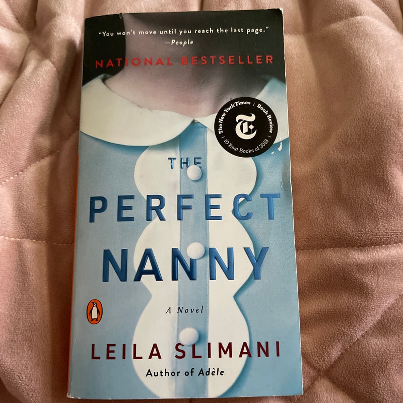 The Perfect Nanny