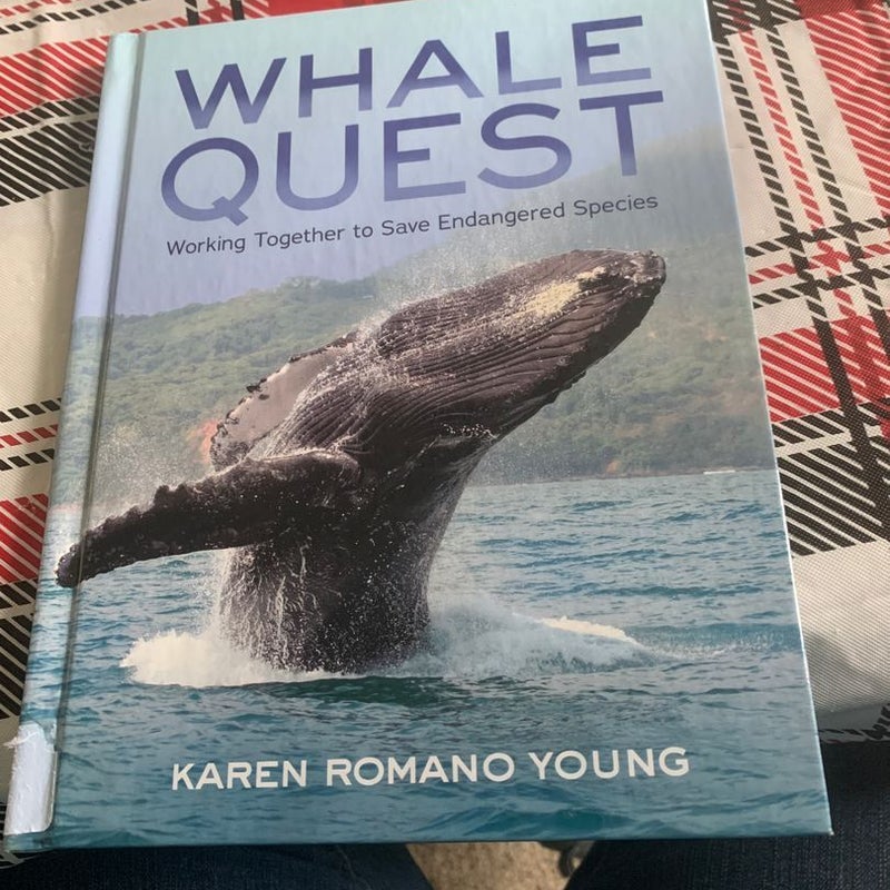 Whale Quest