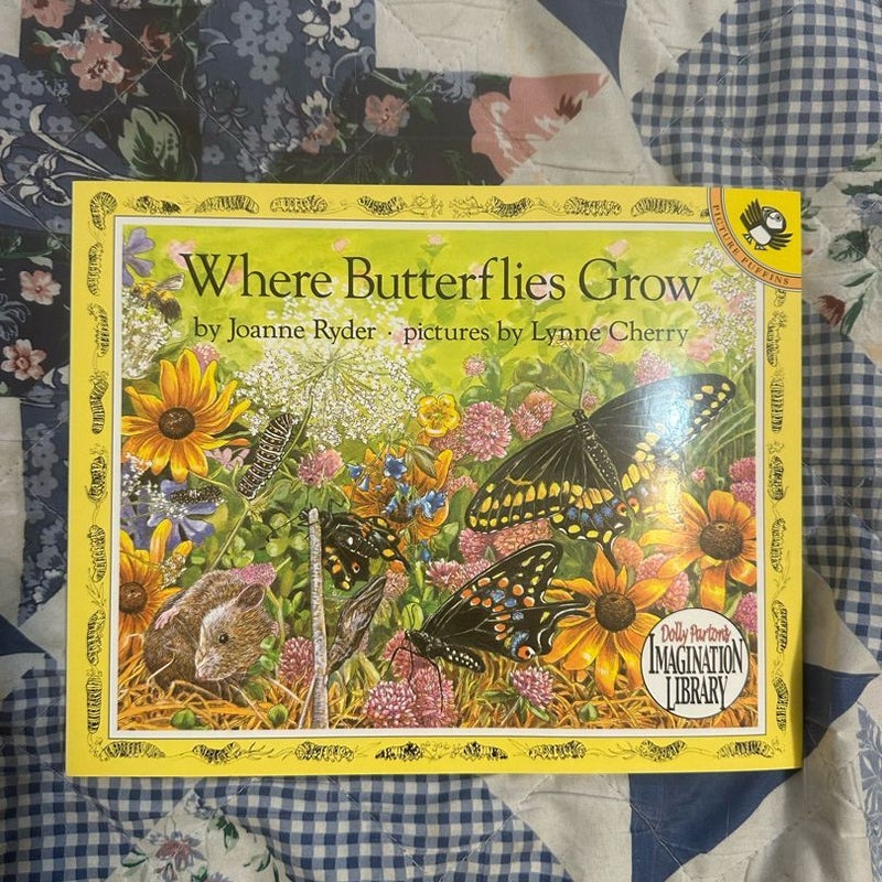 Where Butterflies Grow 