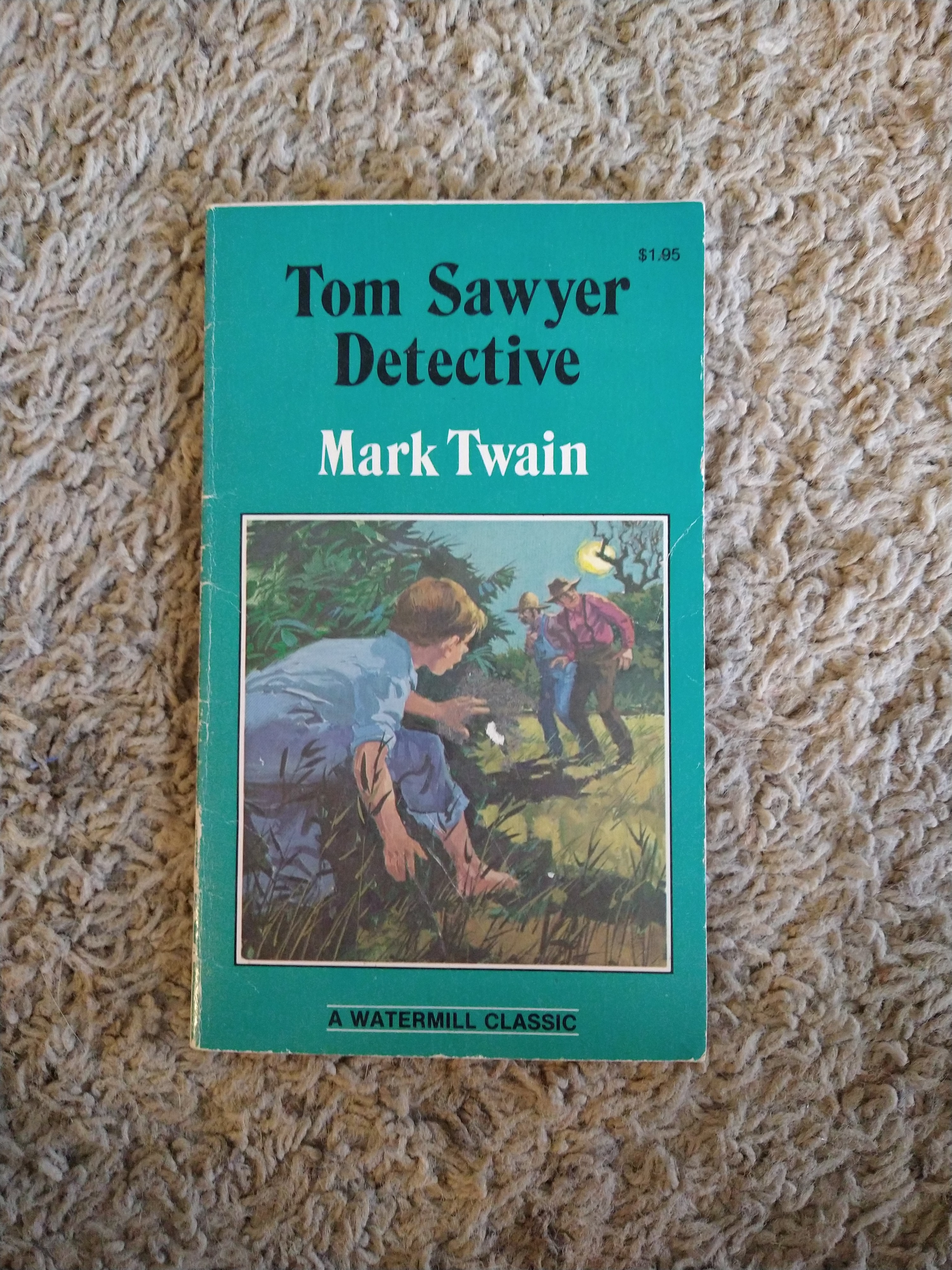 Tom Sawyer, Detective