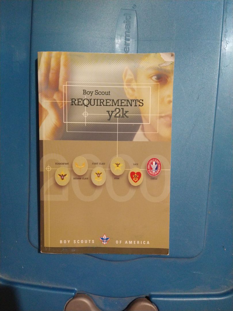 Boy Scout Requirements y2k
