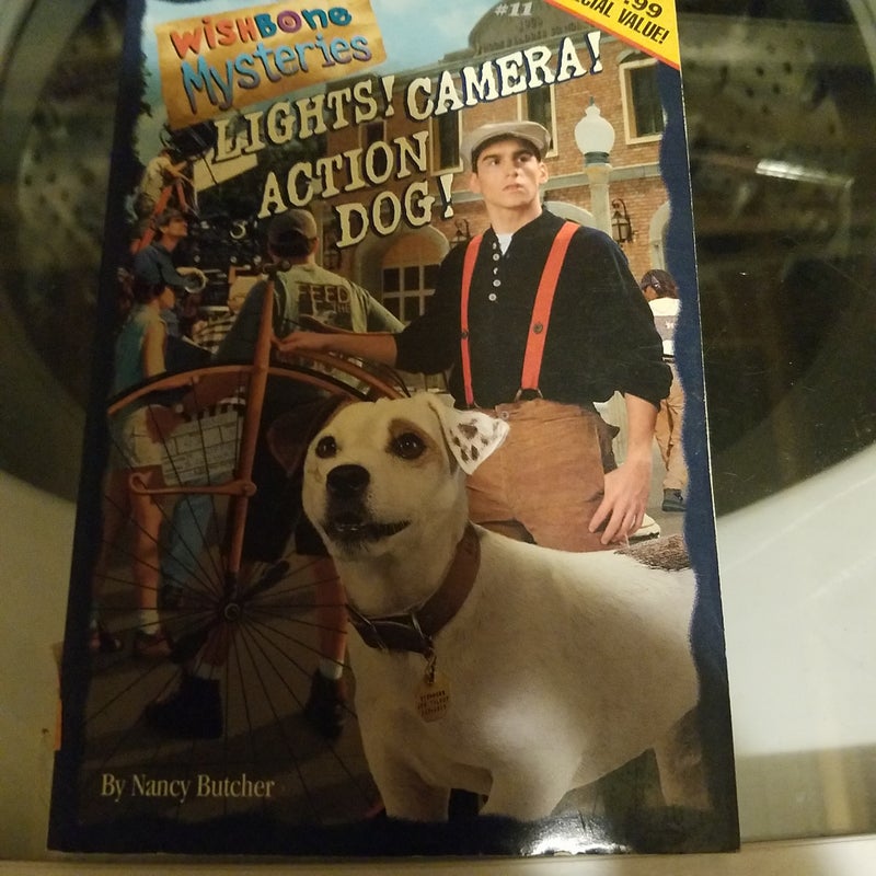 Lights! Camera! Action Dog!