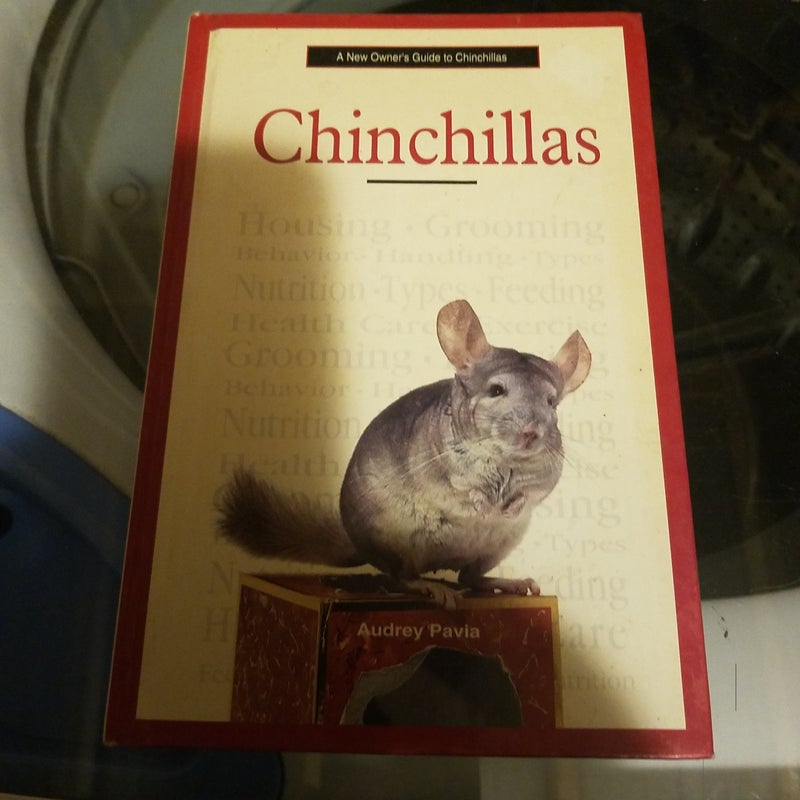 A New Owner's Guide to Chinchillas