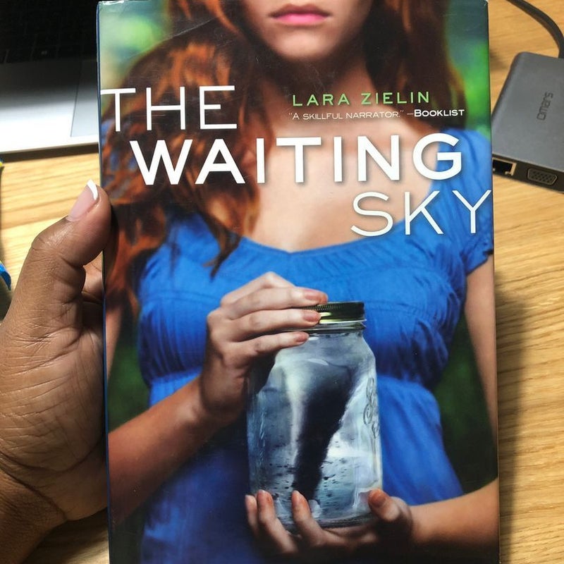 The Waiting Sky