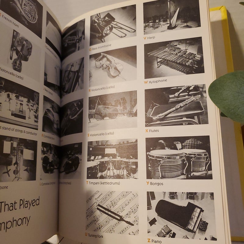The Alphabet Symphony 