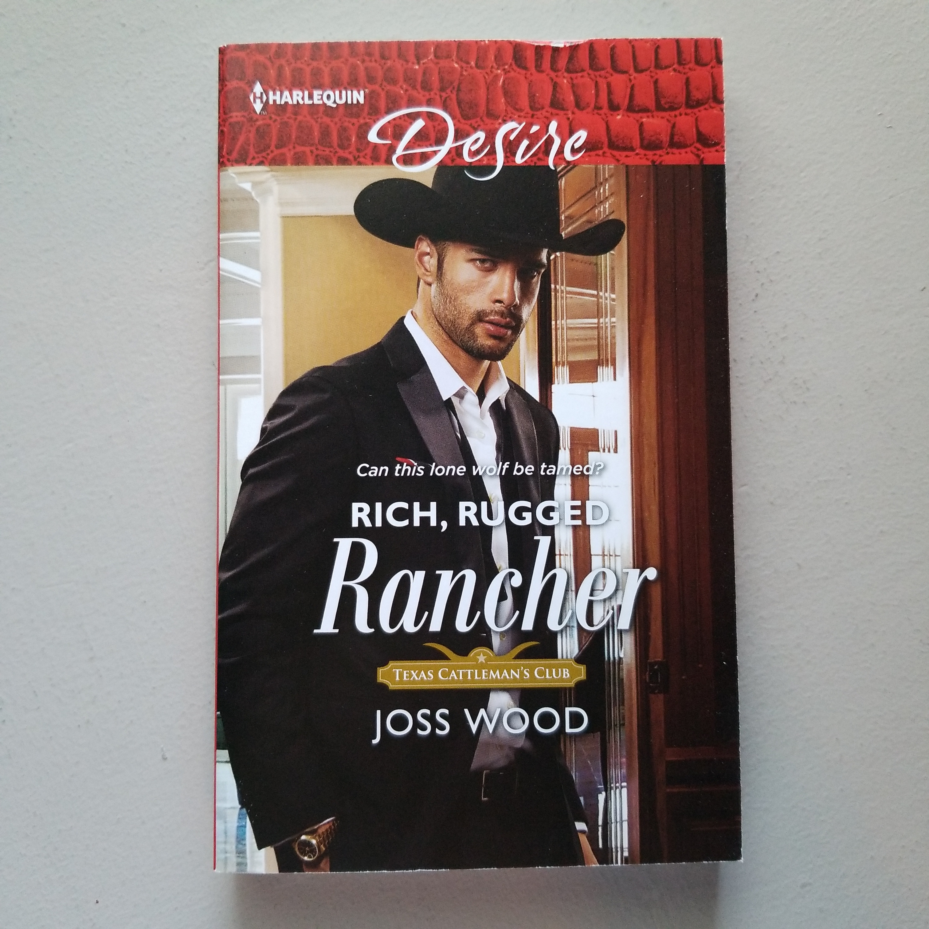 Rich, Rugged Rancher