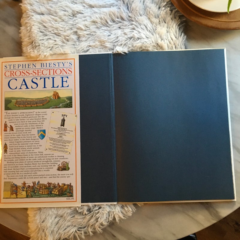 Castle
