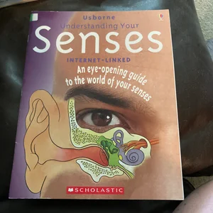 Understanding Your Senses