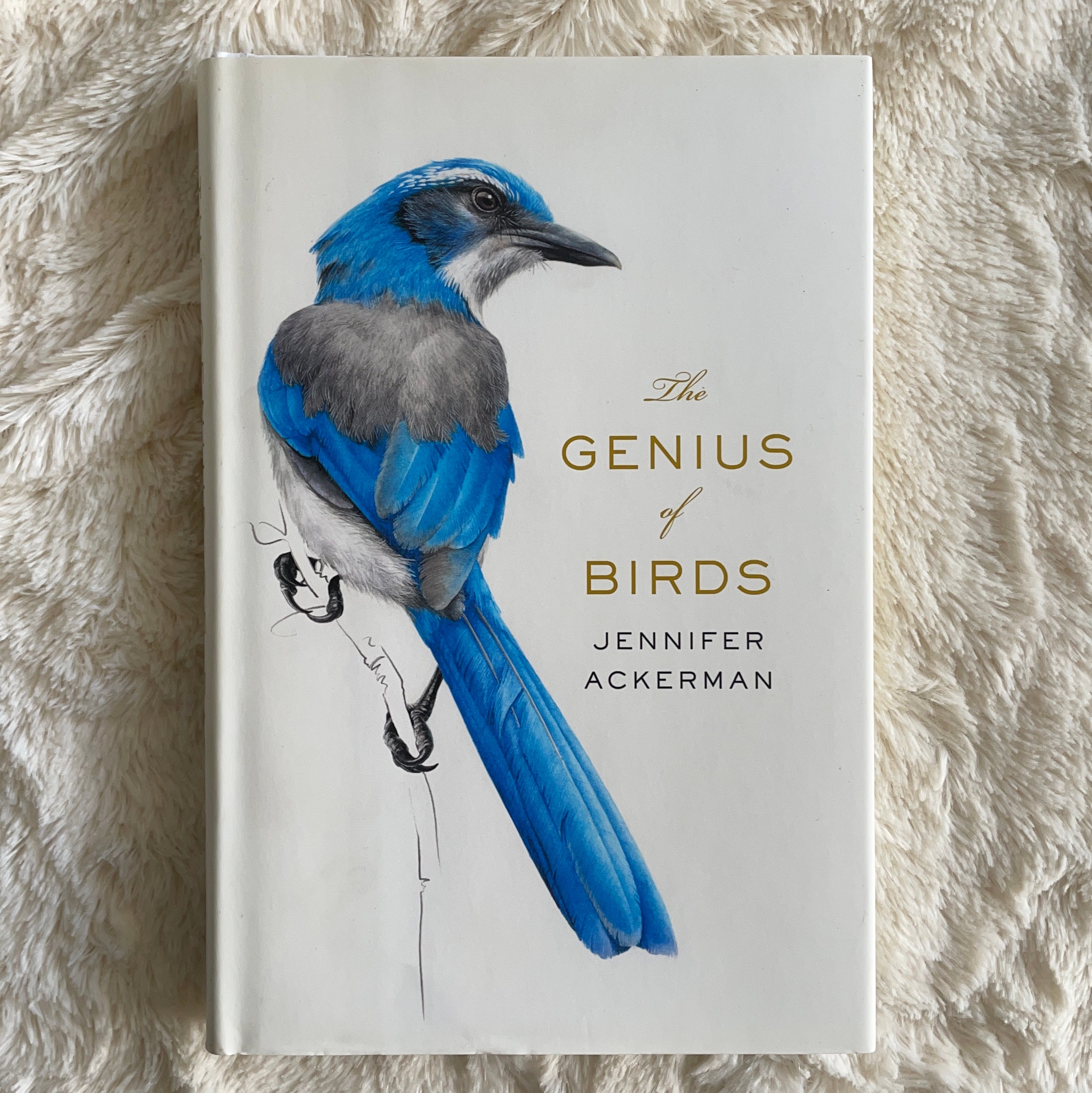 The Genius of Birds