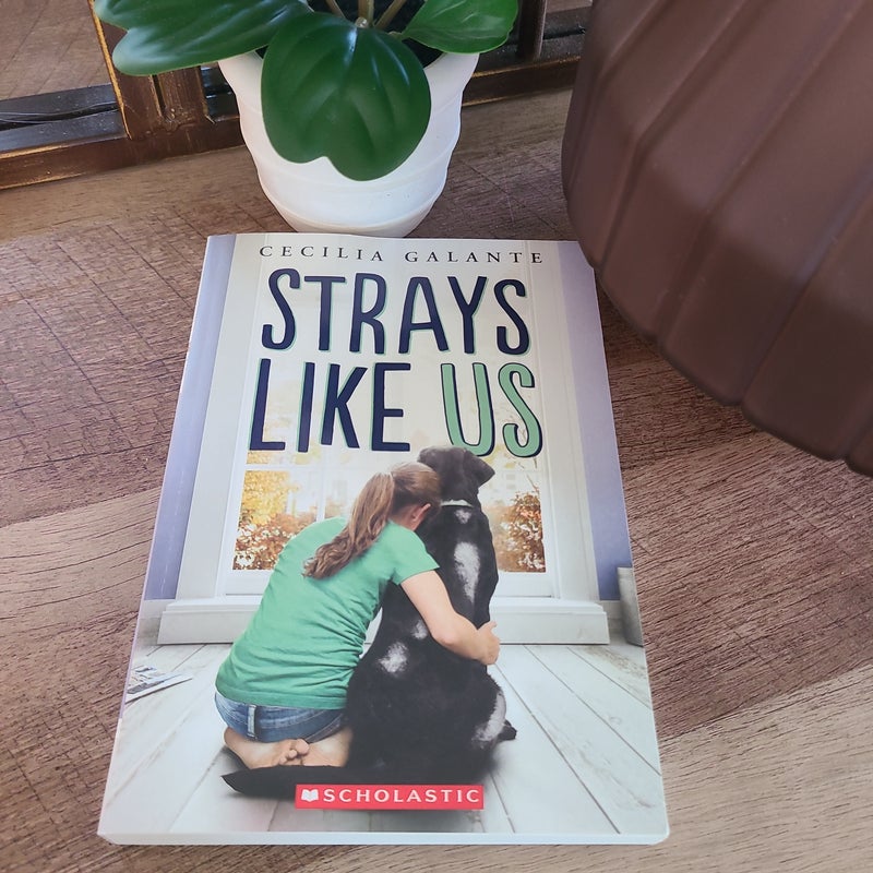 Strays Like Us