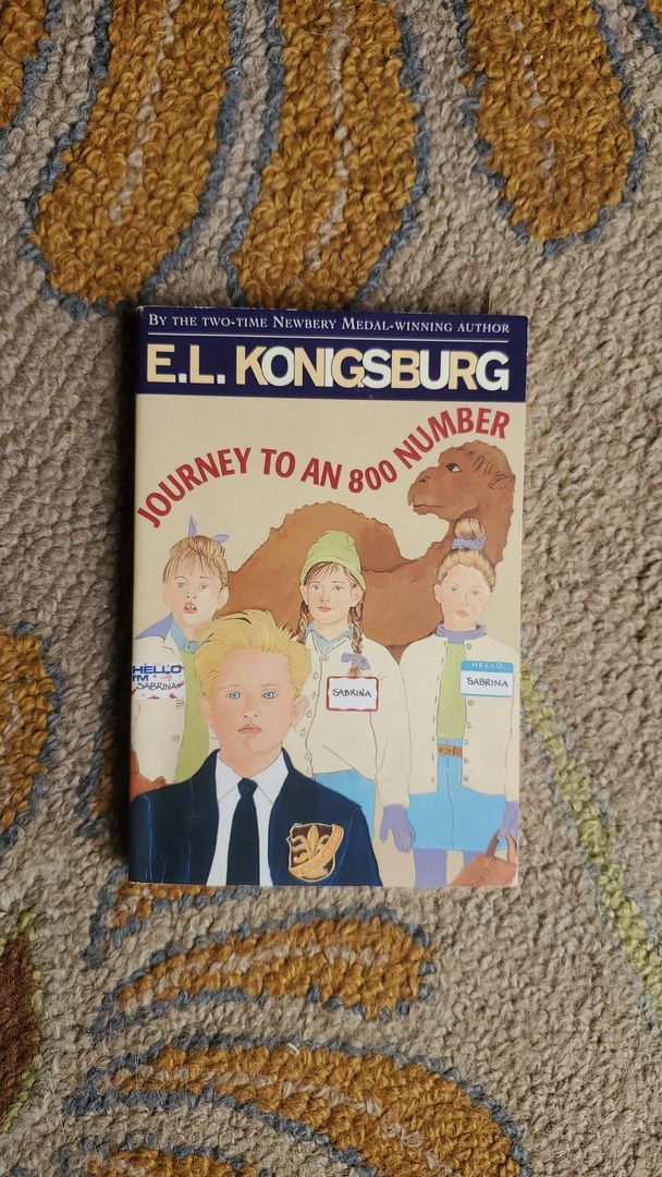 Journey to an 800 Number