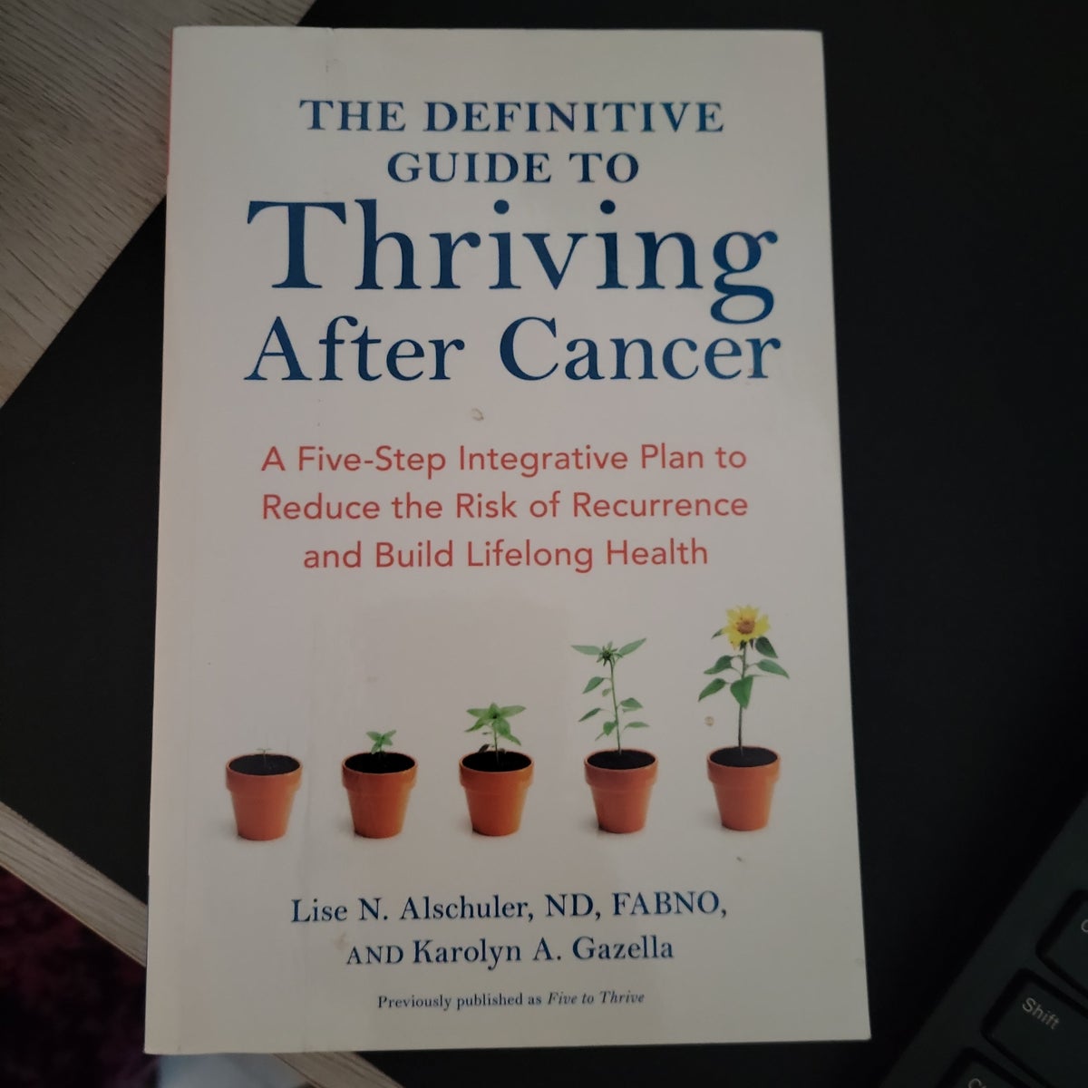 The Definitive Guide to Thriving after Cancer by Lise N. Alschuler
