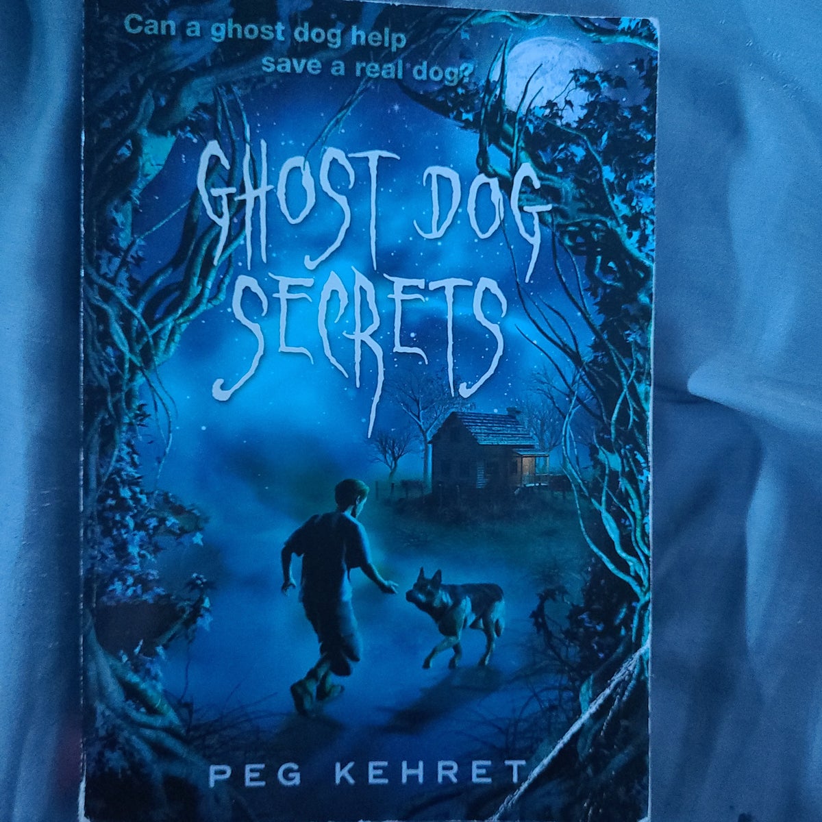 Ghost Dog Secrets by Peg Kehret, Paperback | Pangobooks