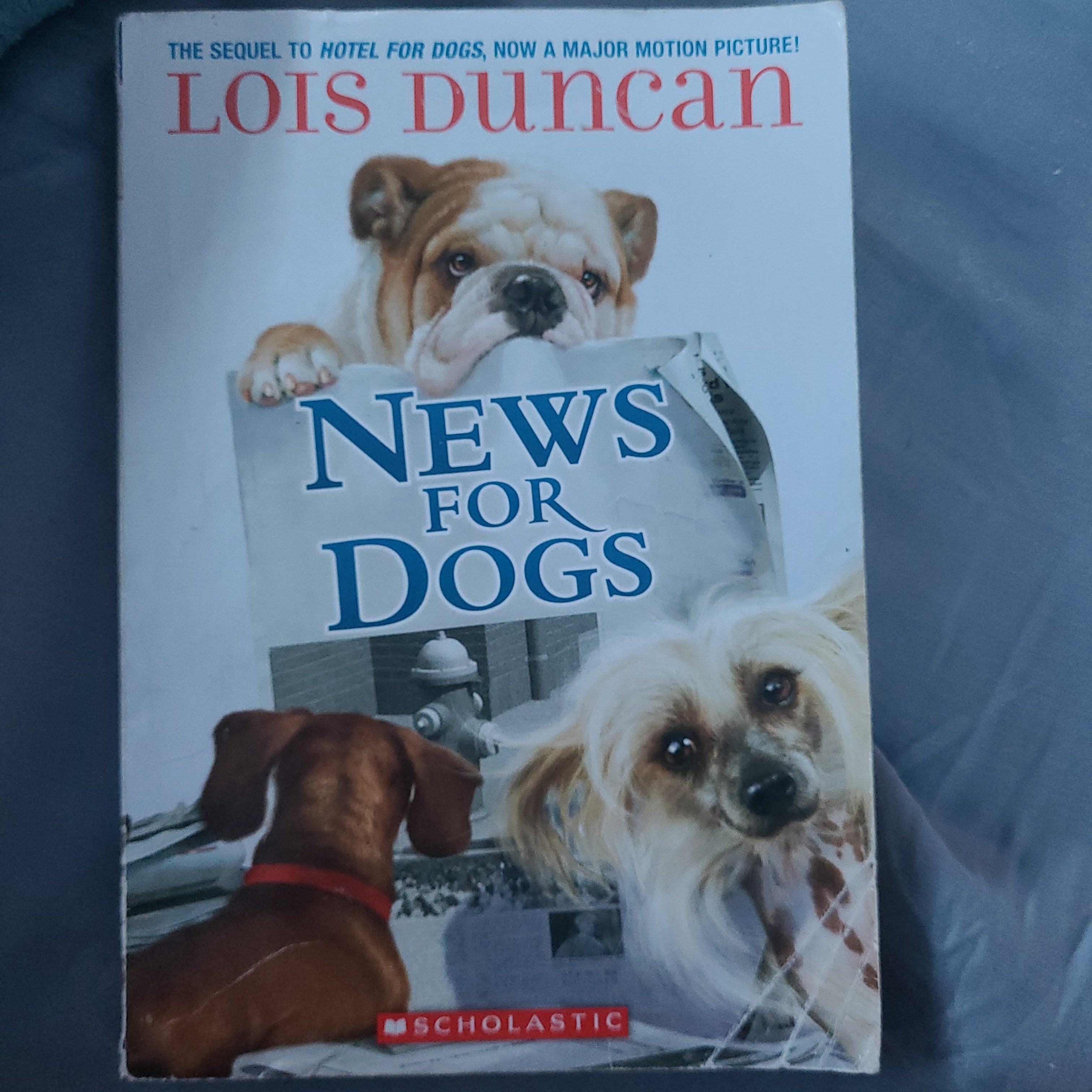 News for Dogs