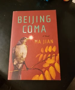Beijing Coma