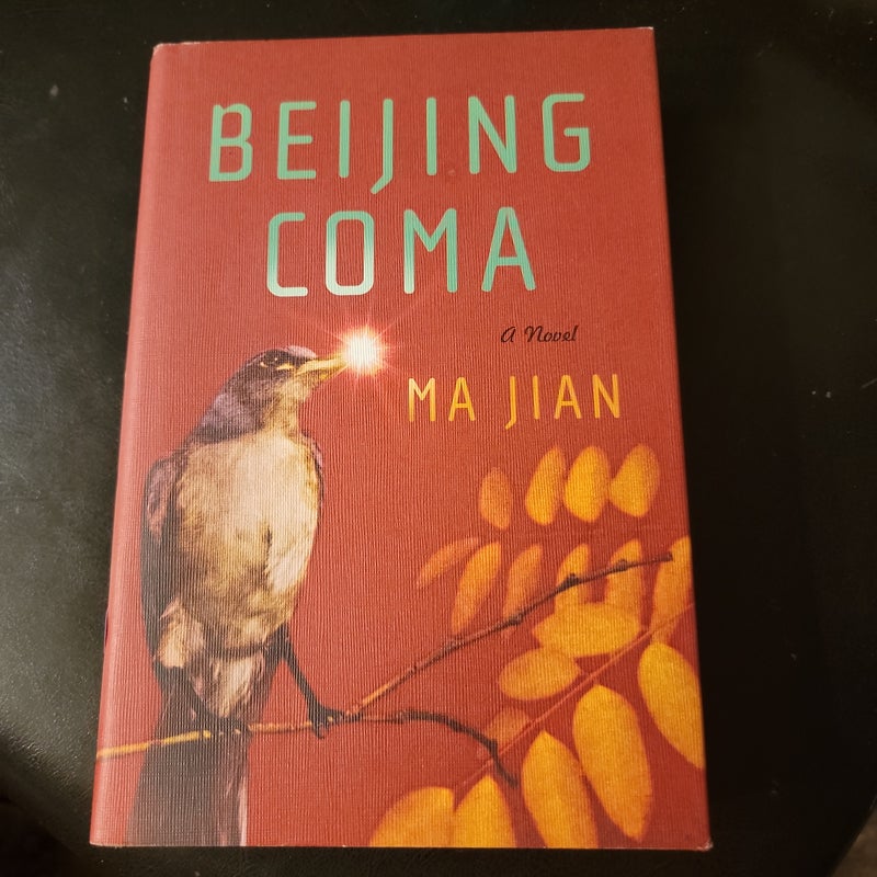 Beijing Coma